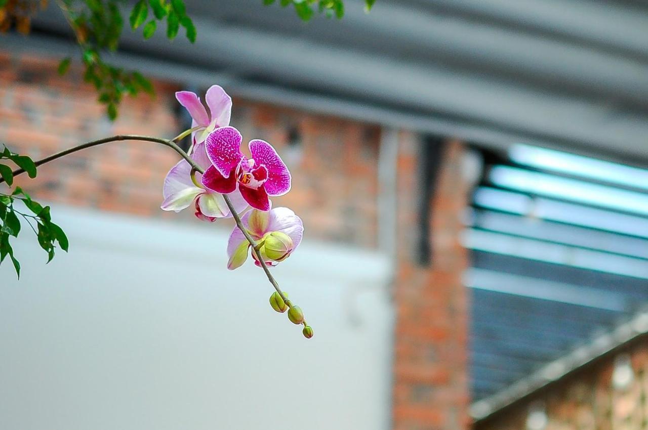 Chi Homestay #4 Хуе Екстериор снимка